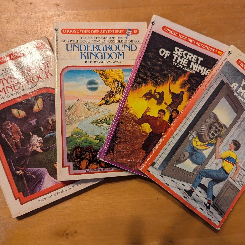 Choose your own adventure set of 4 - Picture 1 of 6